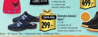 Albert Dámská domácí obuv nabídka