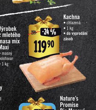 Albert Kachna nabídka