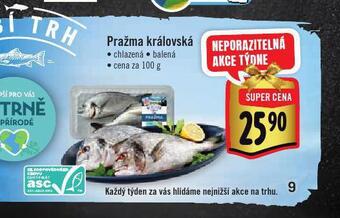 Albert Pražma královská nabídka