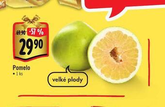 Albert Pomelo nabídka