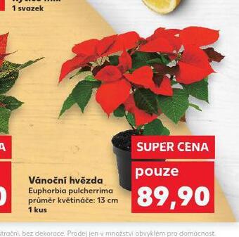 Kaufland Vánoční hvězda nabídka