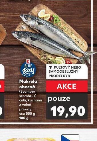 Kaufland Makrela obecná nabídka