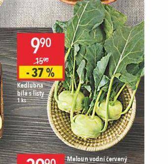 Globus Kedlubna bílá nabídka