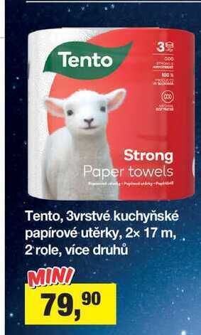Šlak Tento, 3vrstvé kuchyňské papírové utěrky, 2x 17 m, 2 role nabídka