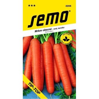 Semo mrkev obecná tip-top