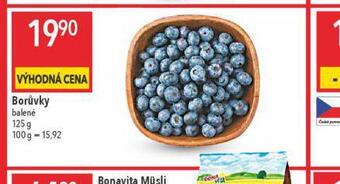 Globus Borůvky nabídka