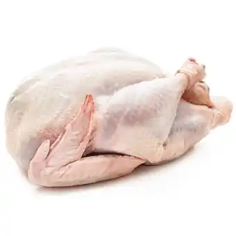 Francouzská baby krůta