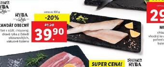 Lidl Candát obecný nabídka
