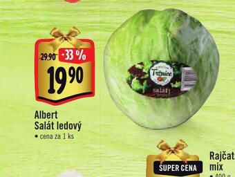 Jip Salát ledový nabídka