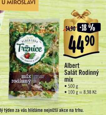 Albert Albert salát rodinný mix 500 g nabídka