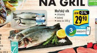 Albert Mořský vlk nabídka