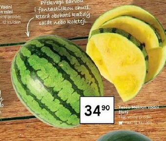 Tesco Meloun vodní nabídka