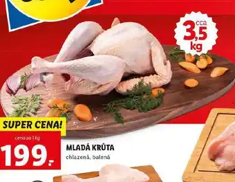 Mladá krůta