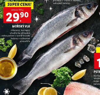 Lidl Mořský vlk nabídka