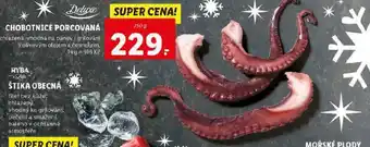 Lidl Chobotnice porcovaná nabídka