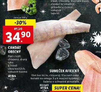 Lidl Candát obecný nabídka