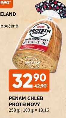 Terno Penam chléb proteinový 250 g nabídka