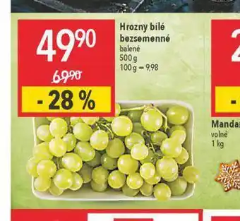 Globus Hrozny bílé b ezsemenné nabídka