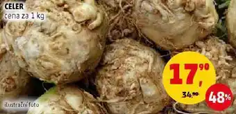 Penny Market Celer cena za 1 kg nabídka