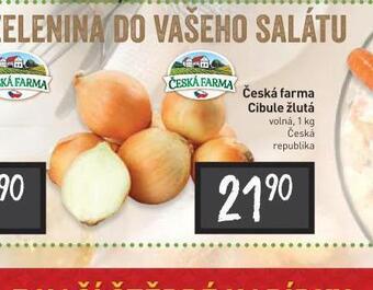 Billa Cibule žlutá nabídka