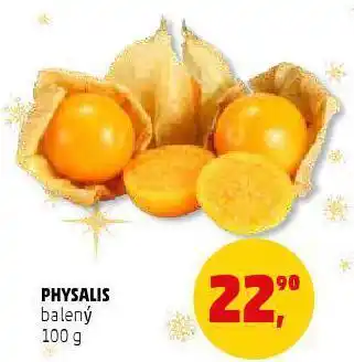Penny Market Physalis nabídka