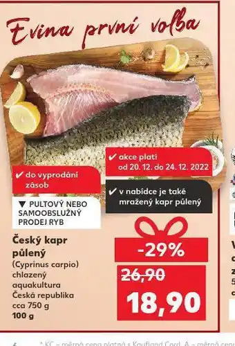 Český kapr půlený