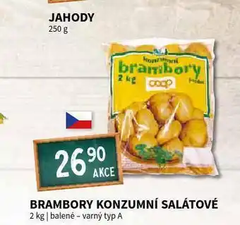 Terno Brambory konzumní salátové nabídka