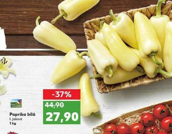 Kaufland Paprika bílá nabídka