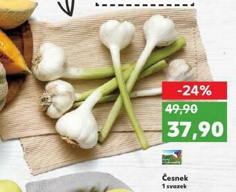 Kaufland Česnek nabídka