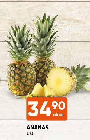 Terno Ananas nabídka