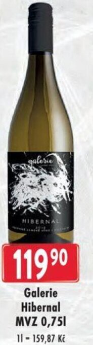 Astur&Qanto Galerie Hibernal MVZ 0,75l nabídka