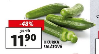 Lidl Okurka salátová 1ks nabídka