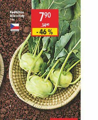 Globus Kedlubna bílá nabídka