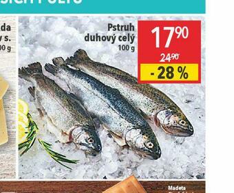 Globus Pstruh duhový celý nabídka