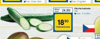 Tesco Okurka hadovka nabídka