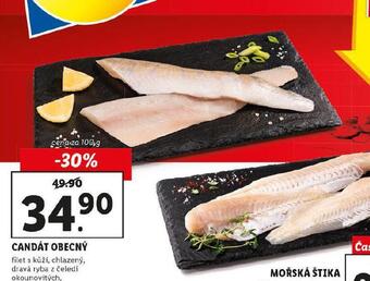 Lidl Candát obecný nabídka