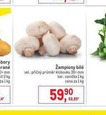 Makro Žampiony bílé nabídka