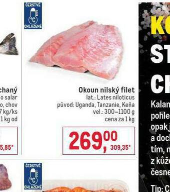 Makro Okoun nilský filet nabídka