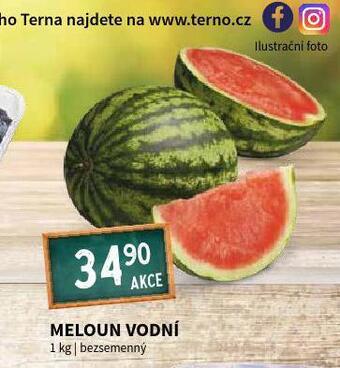 Terno Meloun vodní nabídka