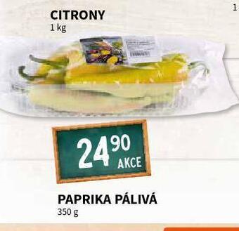 Terno Paprika pálivá nabídka
