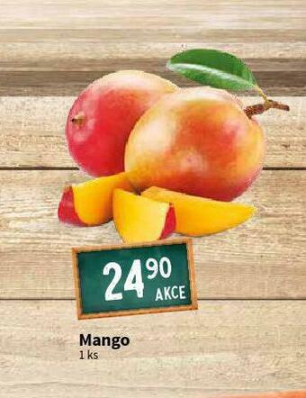 Terno Mango nabídka