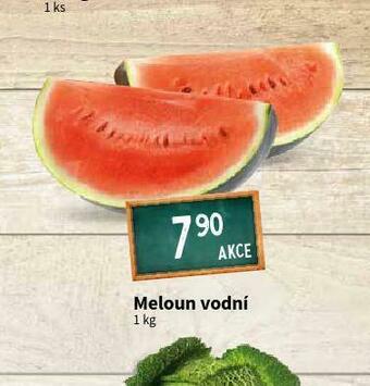 Terno Meloun vodní nabídka