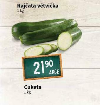 Terno Cuketa nabídka