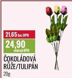 Ratio Čokoládová růže/tulipán 20g nabídka