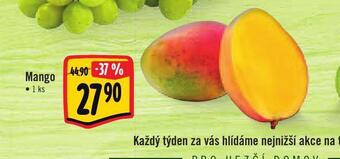 Albert Mango nabídka