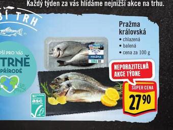 Albert Pražma královská nabídka