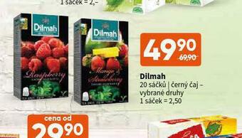 Terno Dilmah čaj nabídka