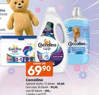 Terno Coccolino nabídka