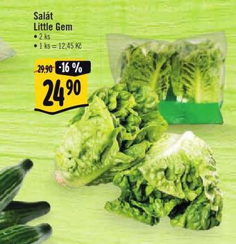 Albert Salát little gem nabídka