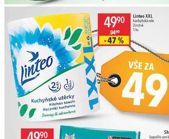 Globus Linteo xxl kuchyňské role nabídka